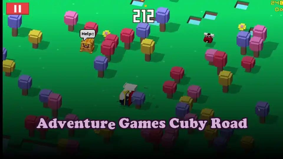 Adventure Games Cuby Road