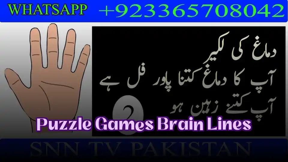 Puzzle Games Brain Lines